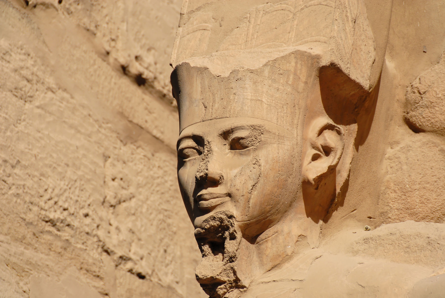 King Tut